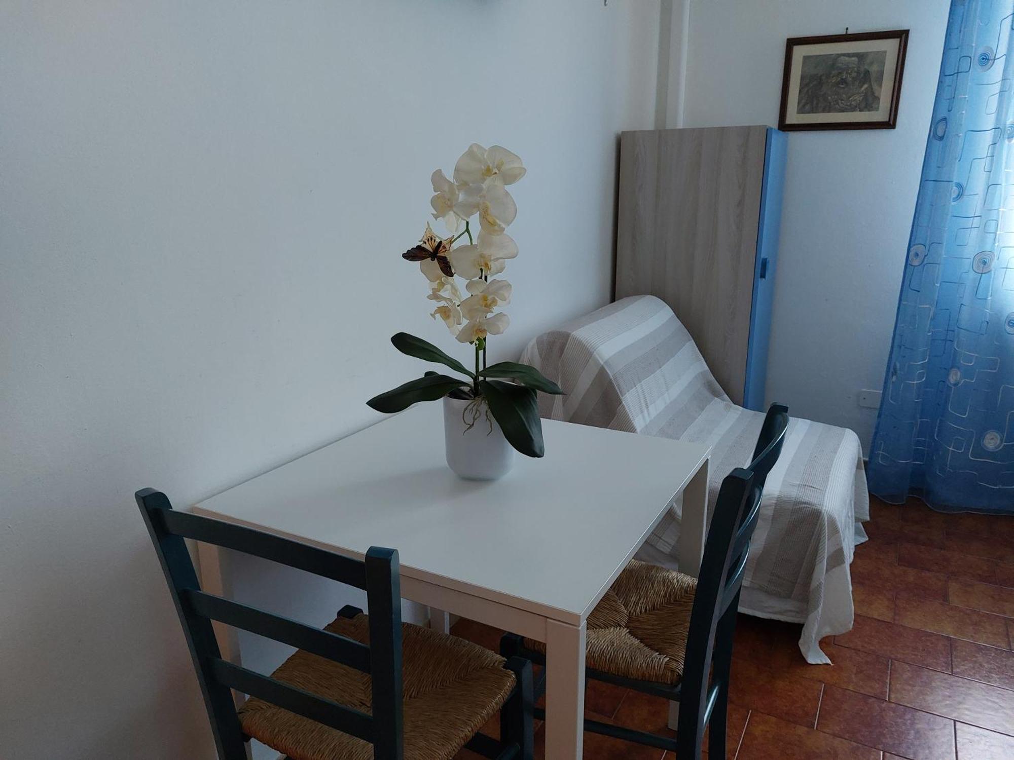 B&B Soleluna 피사 외부 사진