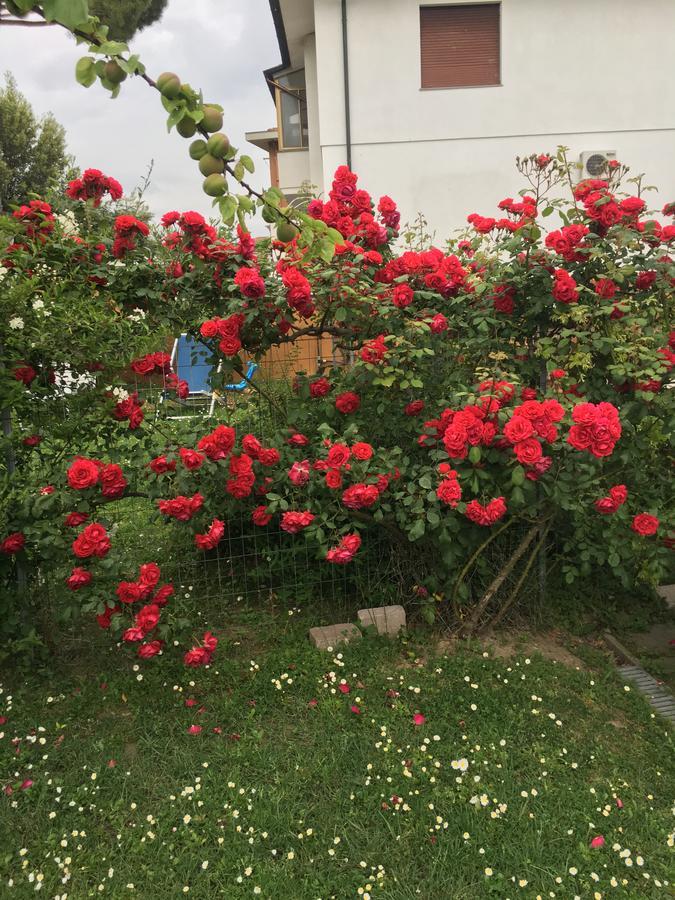 B&B Soleluna 피사 외부 사진